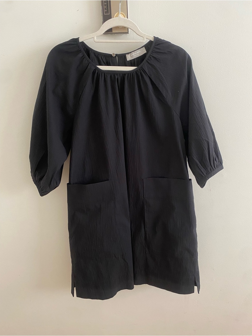 Everlane Puff Sleeve Dress